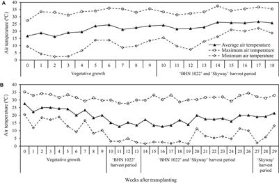 A systematic assessment of how rootstock growth characteristics impact grafted tomato plant biomass, resource partitioning, yield, and fruit mineral composition